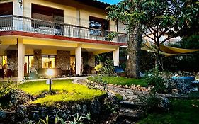 Villa Degli Ulivi
